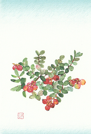 西山ゆら 個展
