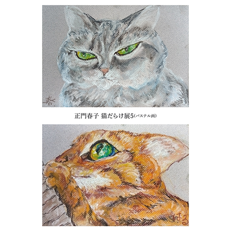 正門春子 猫だらけ展５